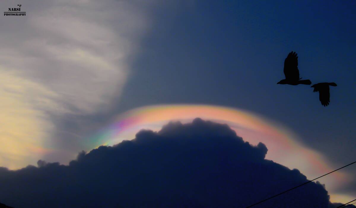 Circumhorizontal_Arc_at_Chennai