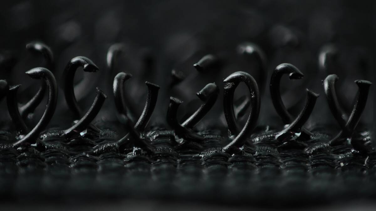 Hook_and_loop_fastener_ macro_photograph_of__hooks_