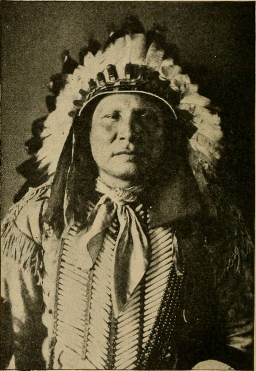 Image_from_page_1001_of__Bulletin__(1901)_(19804160974)