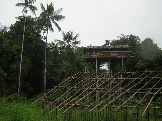 Korowai_Treehouse_5