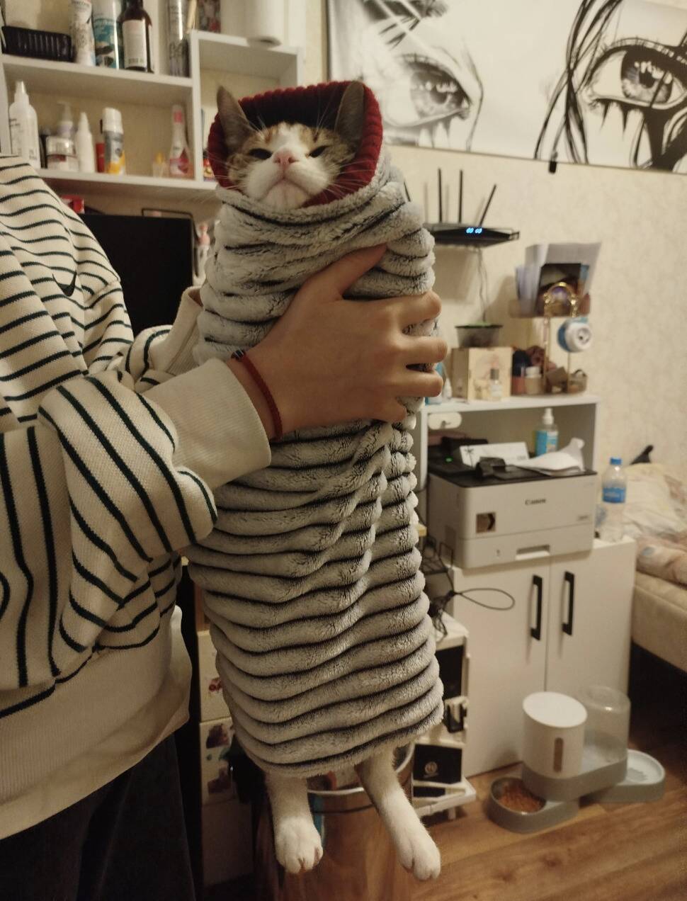 Screenshot 2026-01-27 at 11.16.23 AM