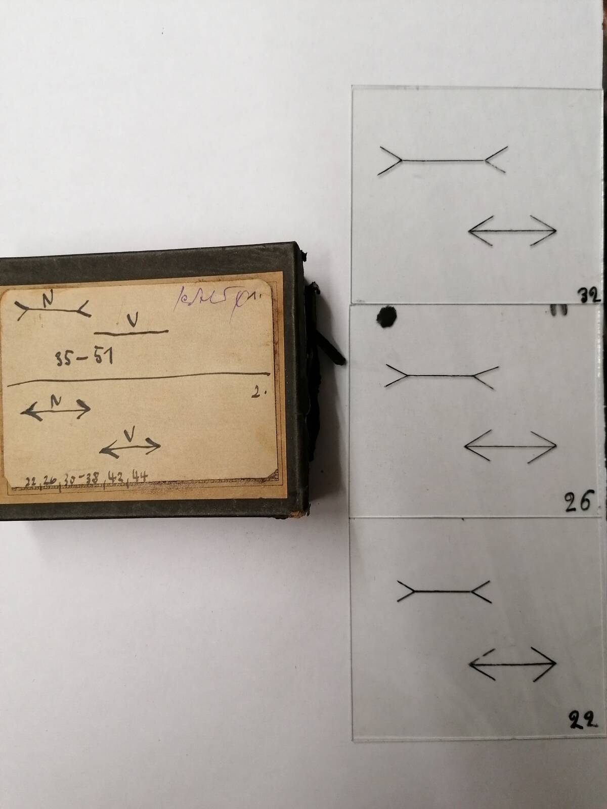 Versuchsmaterial_zur_Untersuchung_der_Müller-Lyer-Illusion