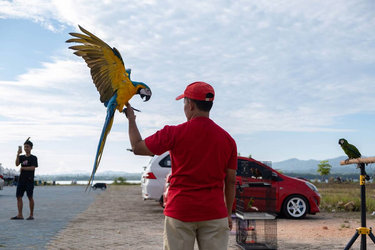 A member of the Kendari Free Fly community prepares to train...