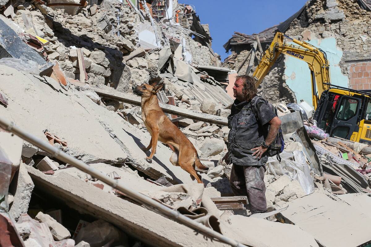 A rescue man and his dog on the rubble of a two houses...