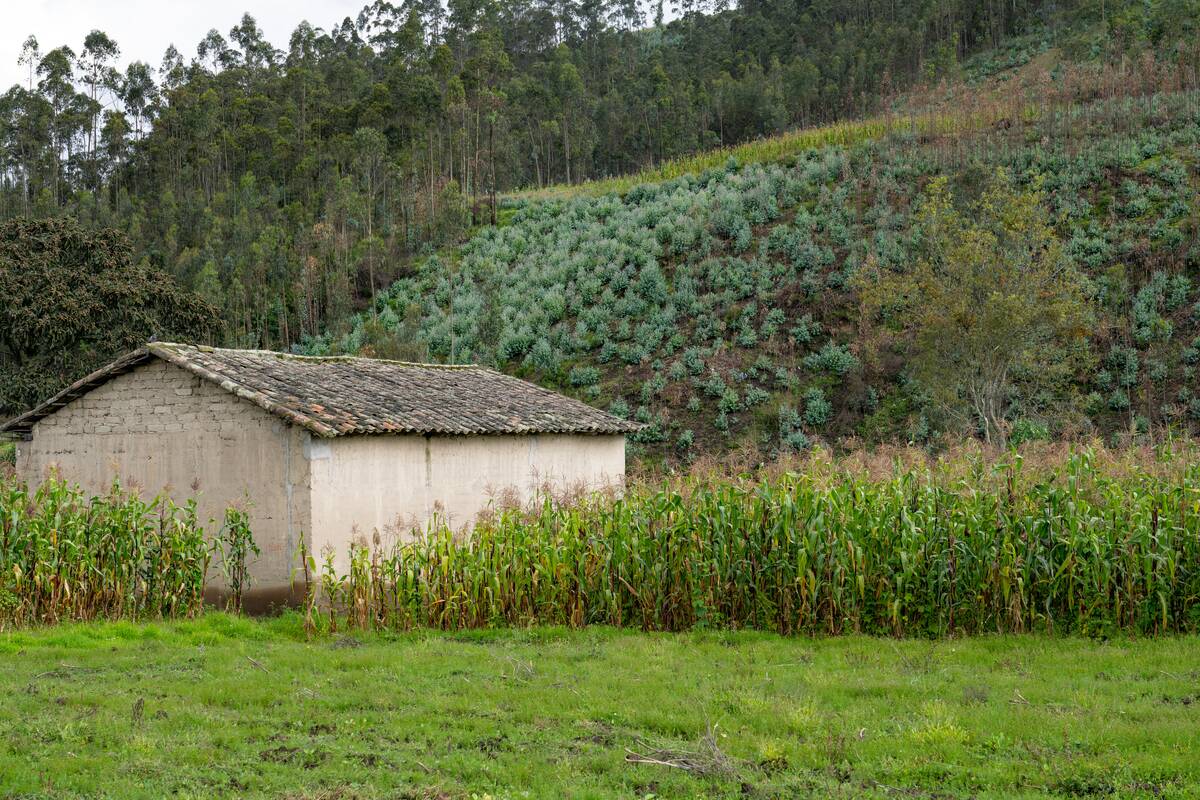 A traditional farm in the indigenous Quechua Amerindian town of Otavalo, Ecuador