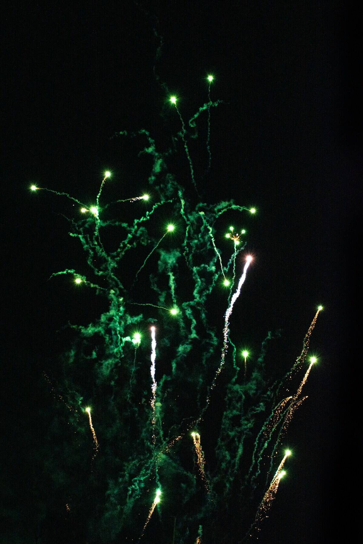 adam-skrinnikoff-W8_Xw0jqVKQ-unsplash