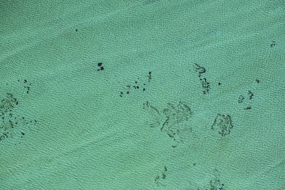 Aerial view of the seabed