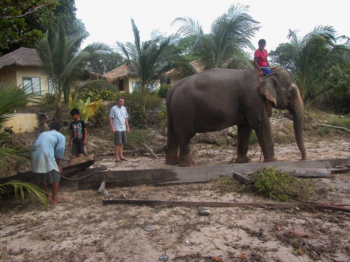 Aftermath Of The Tsunami That Hit The Ko Lanta Island, Thailand. On December 30, 2004 In Ko Lanta, Thailand