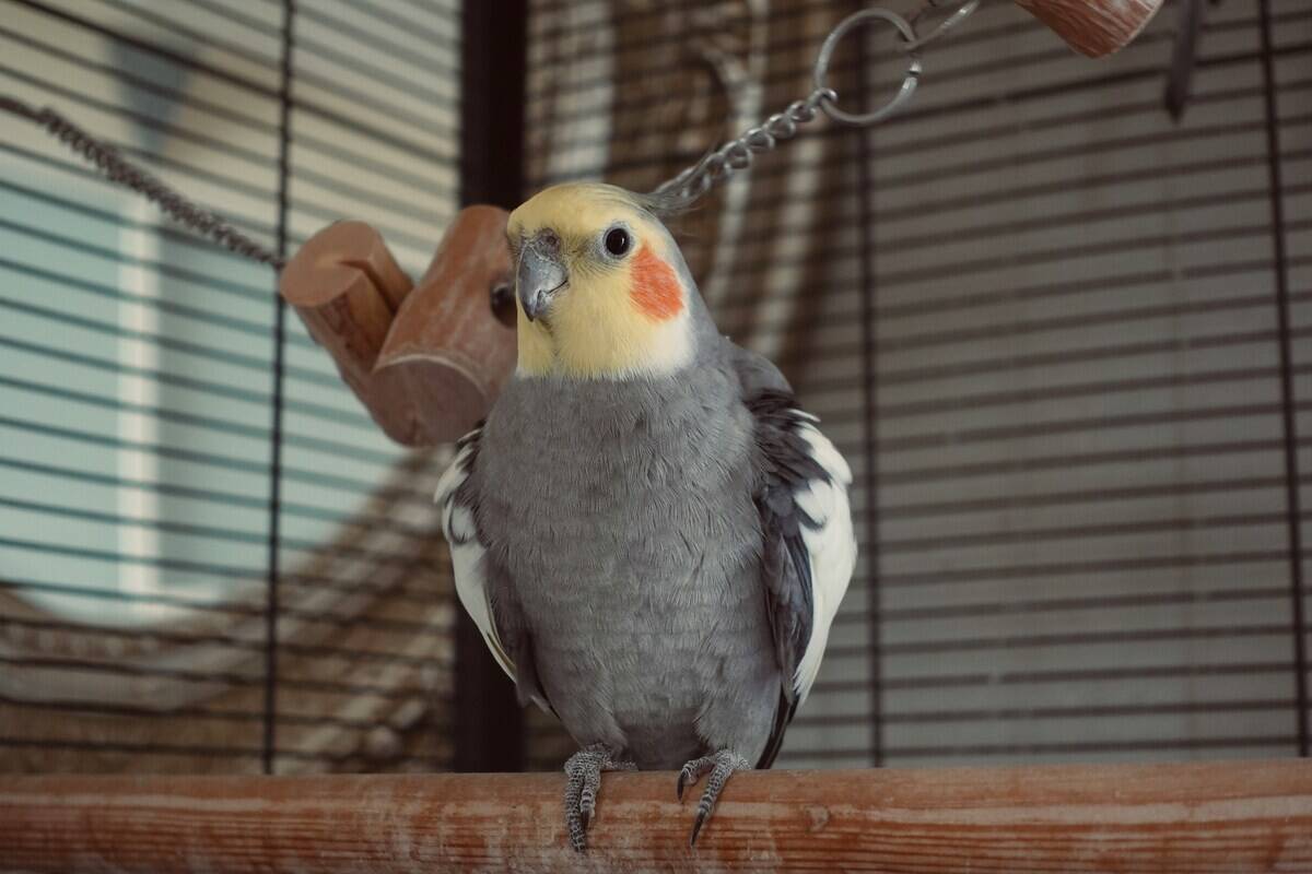 angelo-damas-riout-WM0Is5vJQSE-unsplash