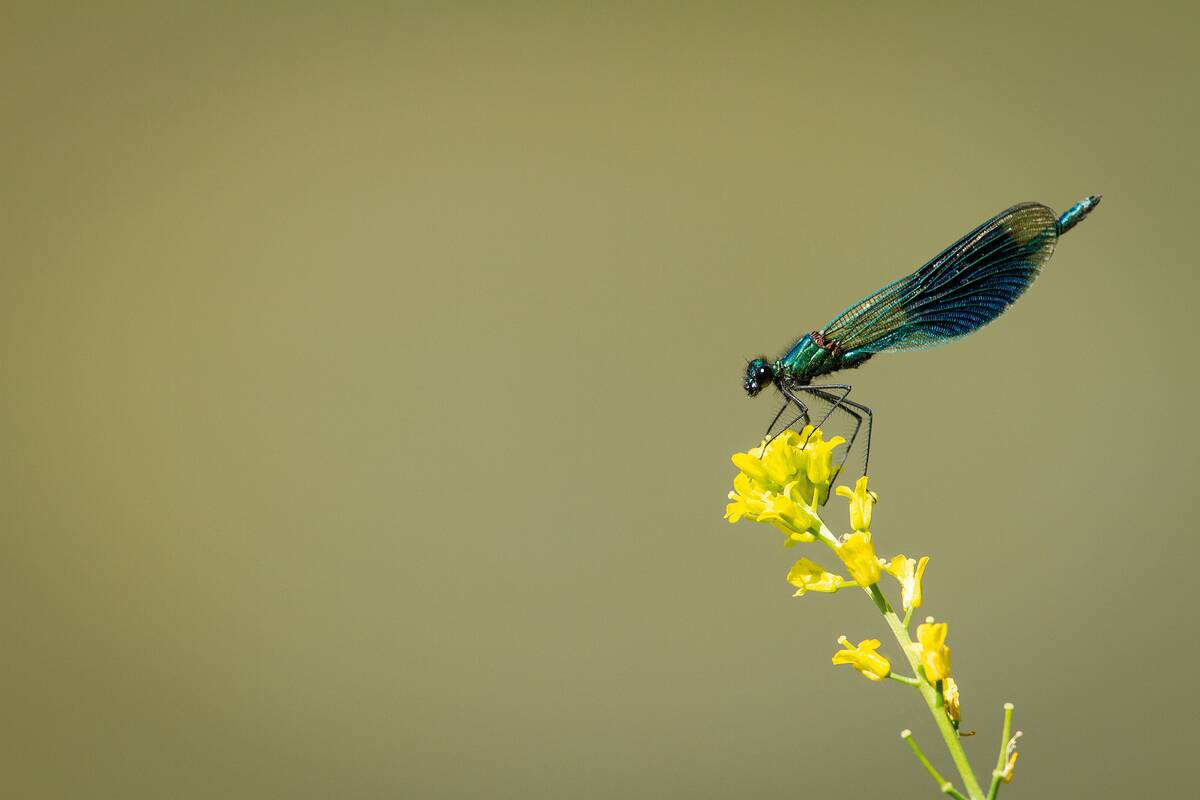 Assorted Location Shoots