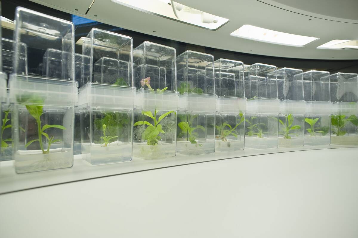 Austria, Linz, Ars Electronica Center, BioLab