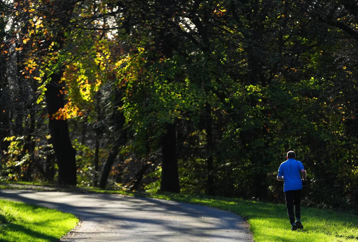 Autumn weather Nov 20th 2025