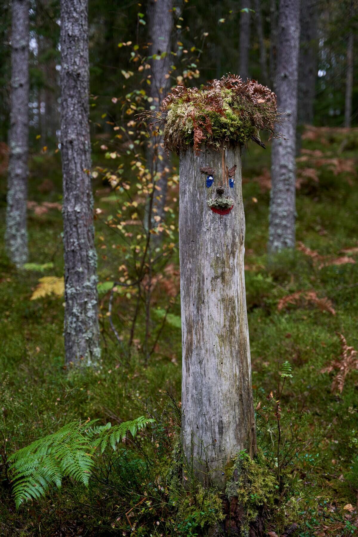 barnabas-davoti-hr5UyJKFUaE-unsplash