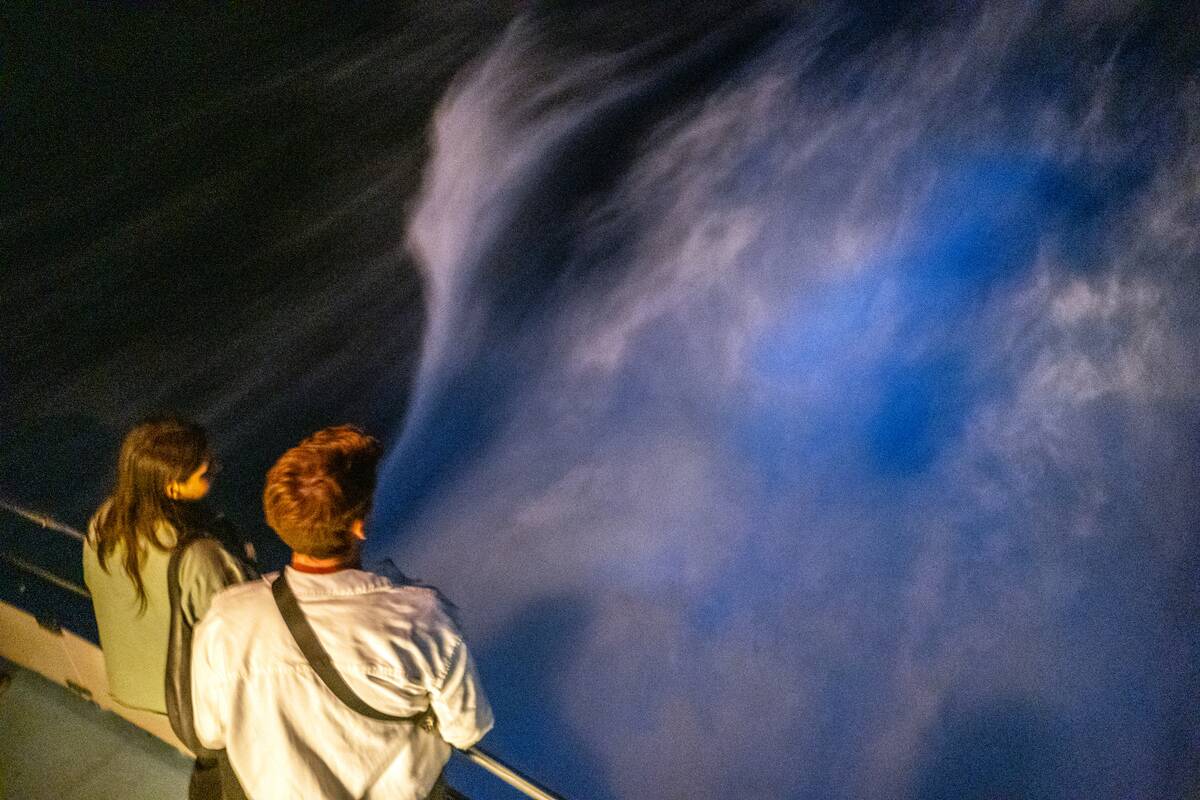 Bioluminescence in Newport Beach aboard Davey's Locker Evening Bioluminescence Glow Coastal Cruise.