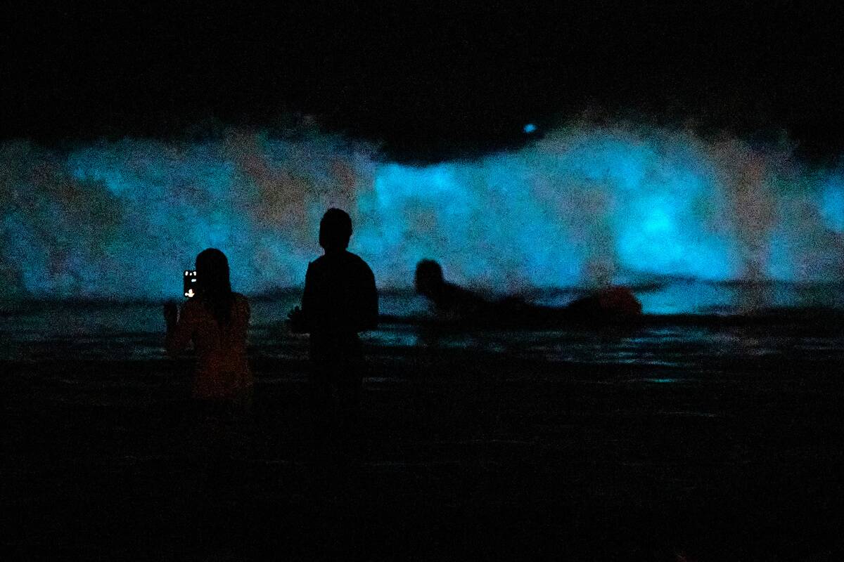 Bioluminescent Waves Are Seen In Southern California
