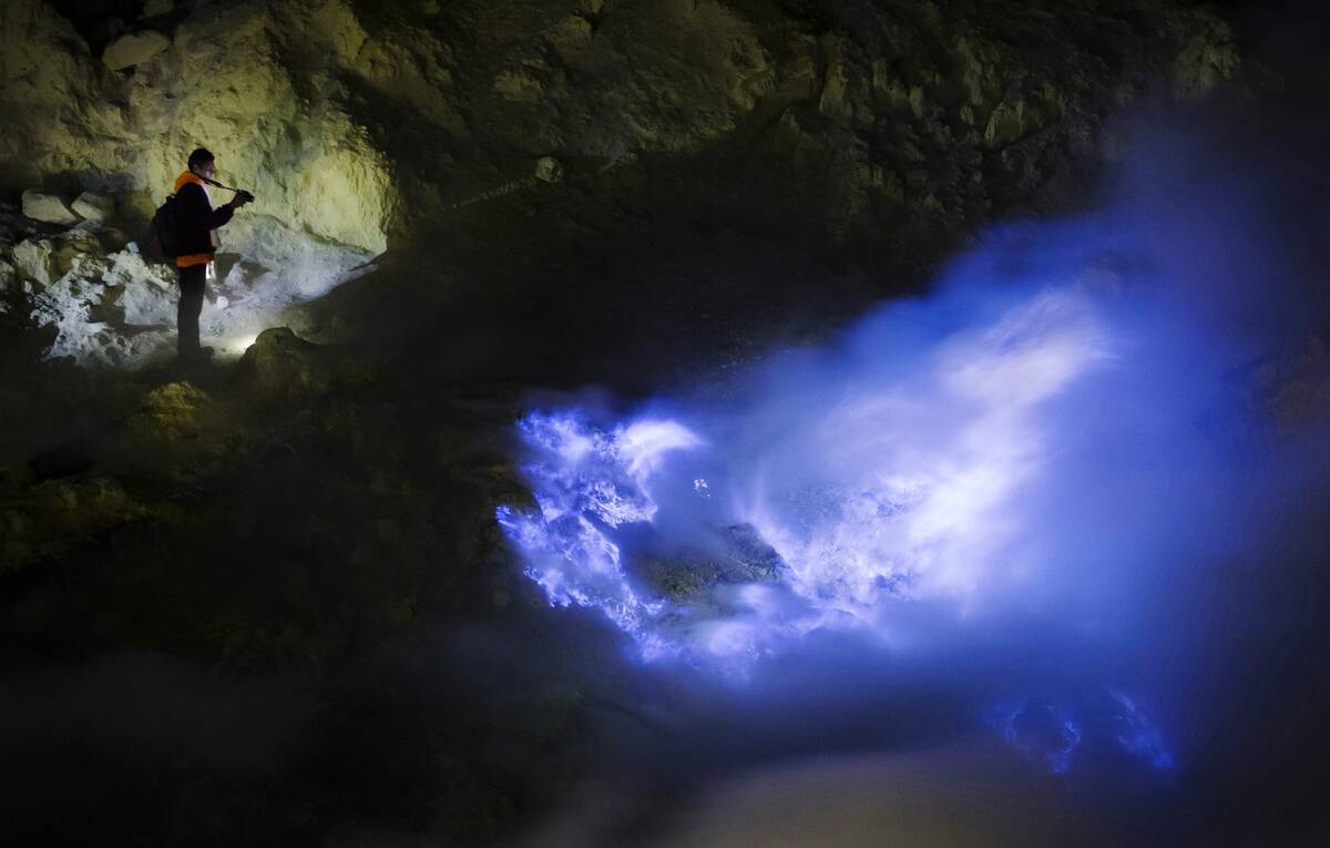 Bloomberg Best Of The Year 2016