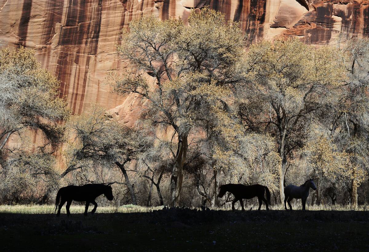 Canyon de Chelly, Arizona