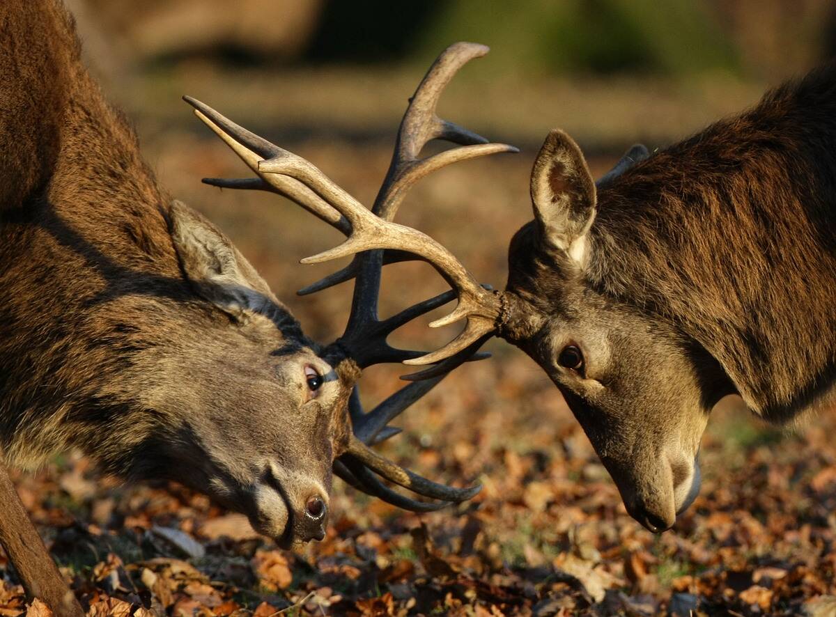 Cold Snap Continues With Freezing Tempertaures Across The Country