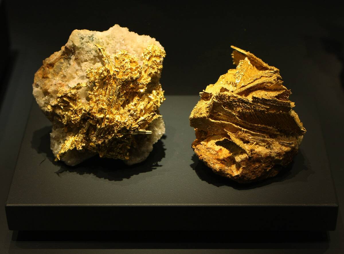 Concentrated gold from Nevada, U.S., is on display at the Na