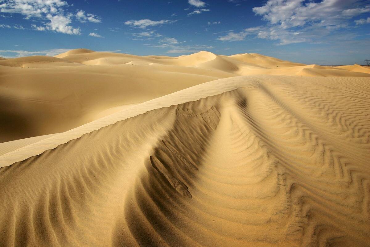 Construction Of Fence Along Mexican Border Picks Up Speed