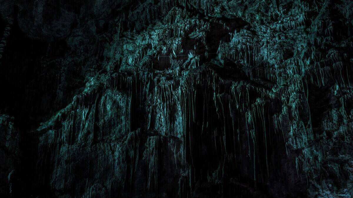 daan-mooij-scEoZoZ5AyQ-unsplash