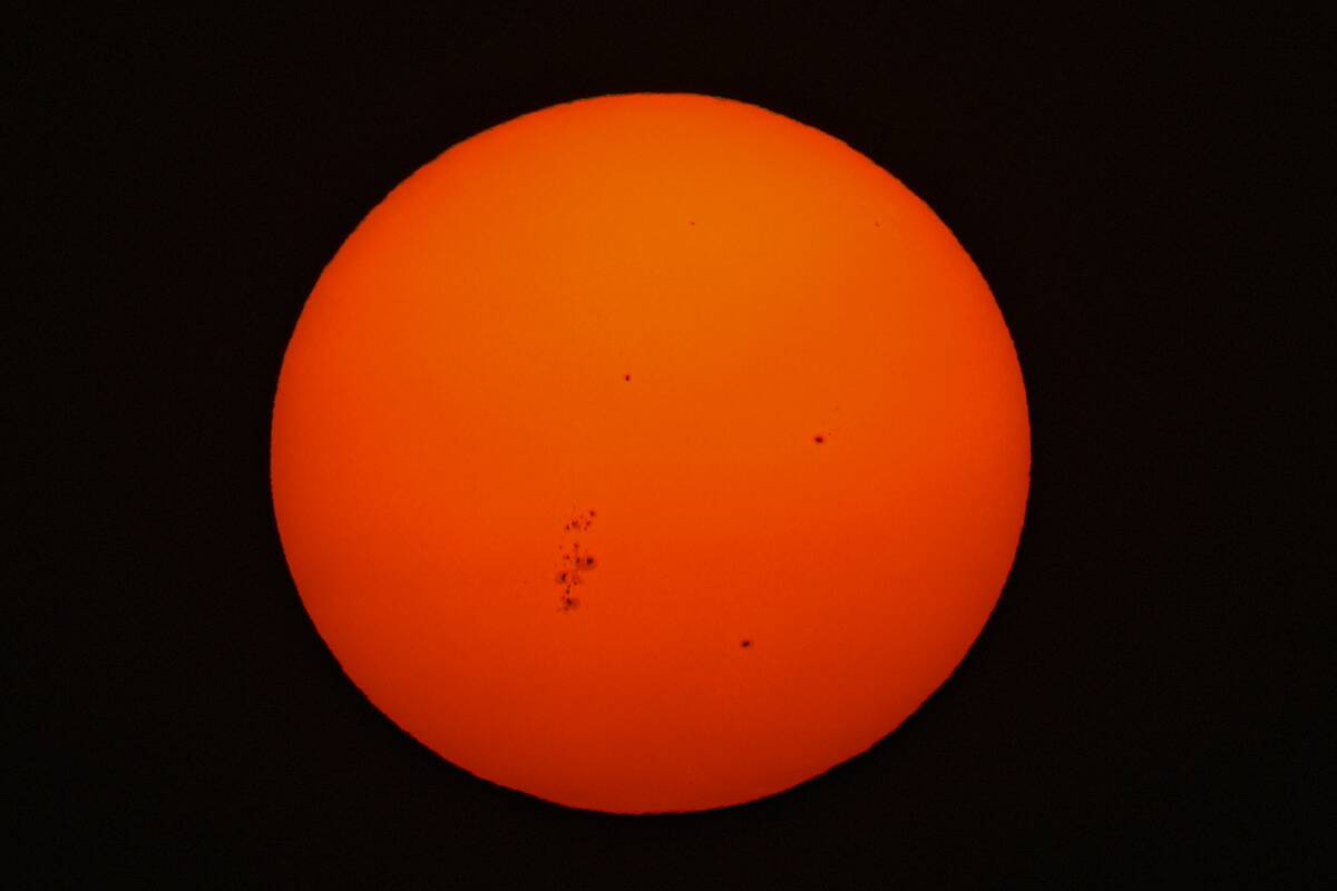Daily Life In Colombo