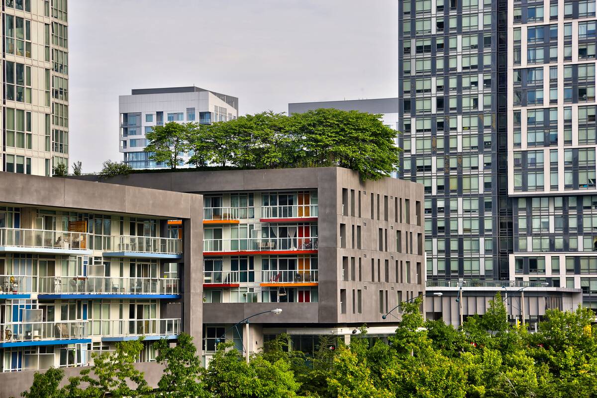 Daily Life In Toronto