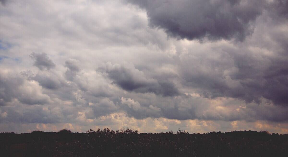 daria-nepriakhina-auMjWDfTFhI-unsplash