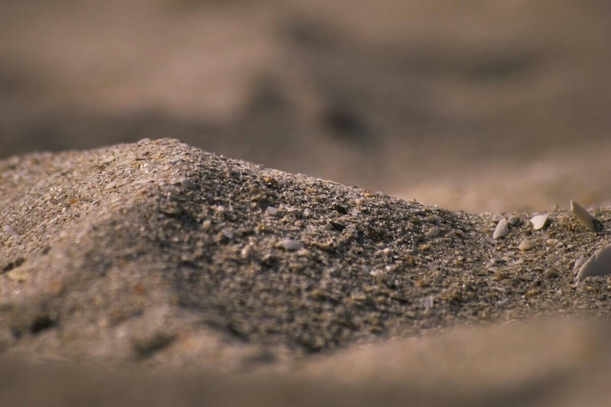 dave-lz-bMYjTZ9YilM-unsplash