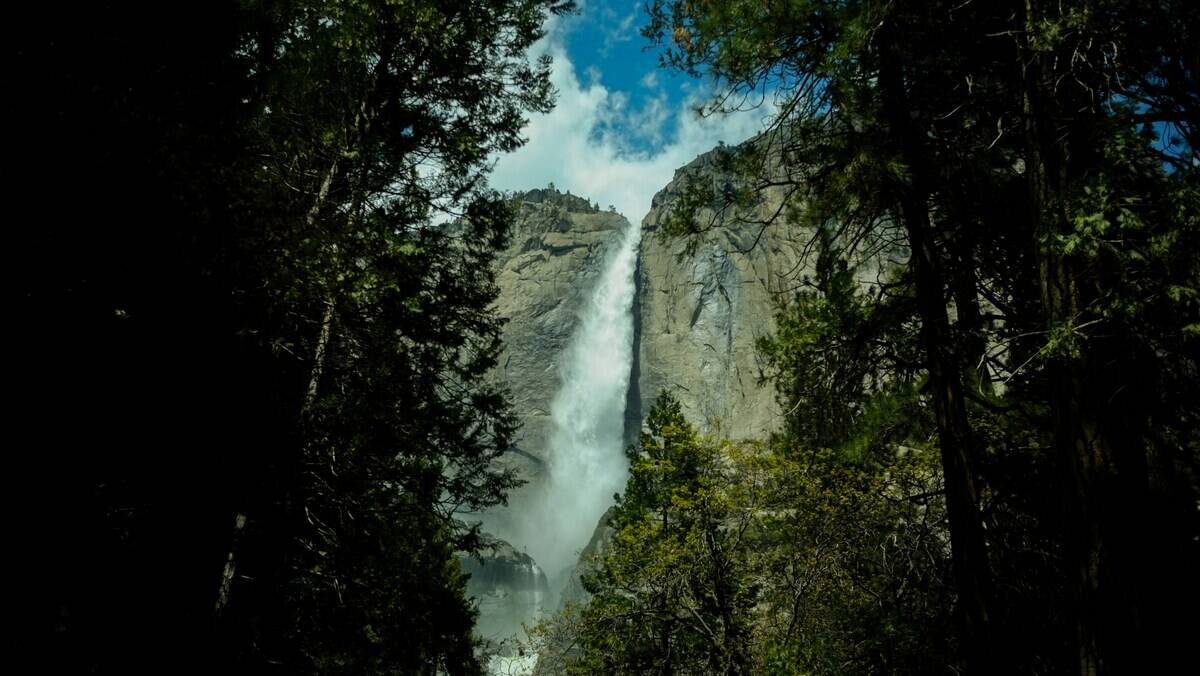 david-moorhouse-sW44k1Mud2c-unsplash