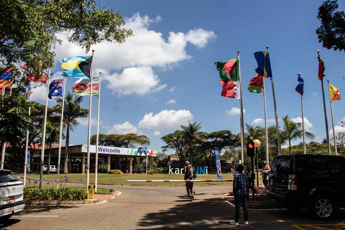 Delegates walk past UN member state flags during the United...