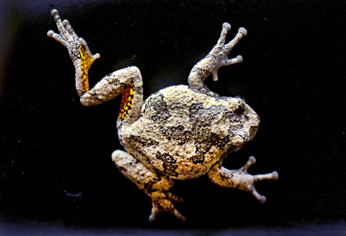 Designed by nature - A photographer takes the time to explore and see the quiet beauty all around him.