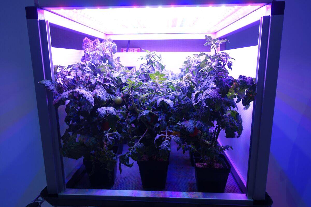 DOUNIAMAG-US-SCIENCE-SPACE-EDUCATION-HORTICULTURE