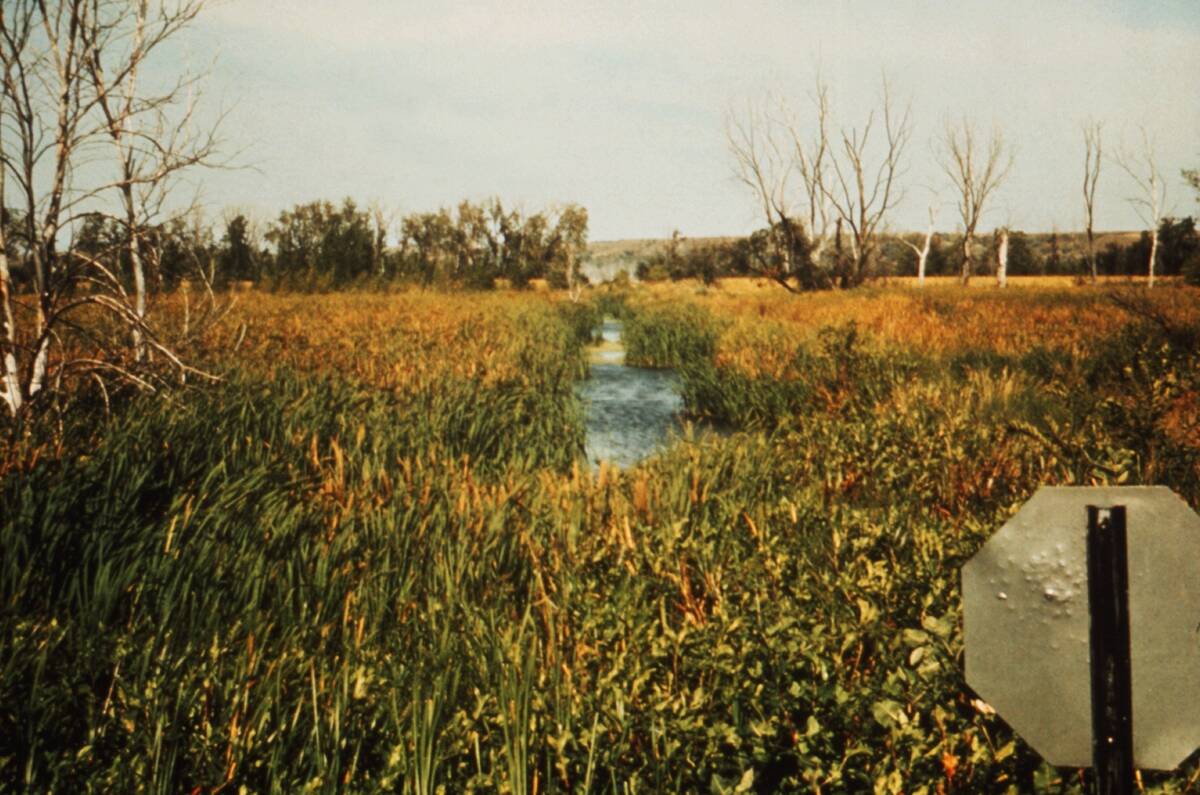 Drainage Ditch, Nebraska