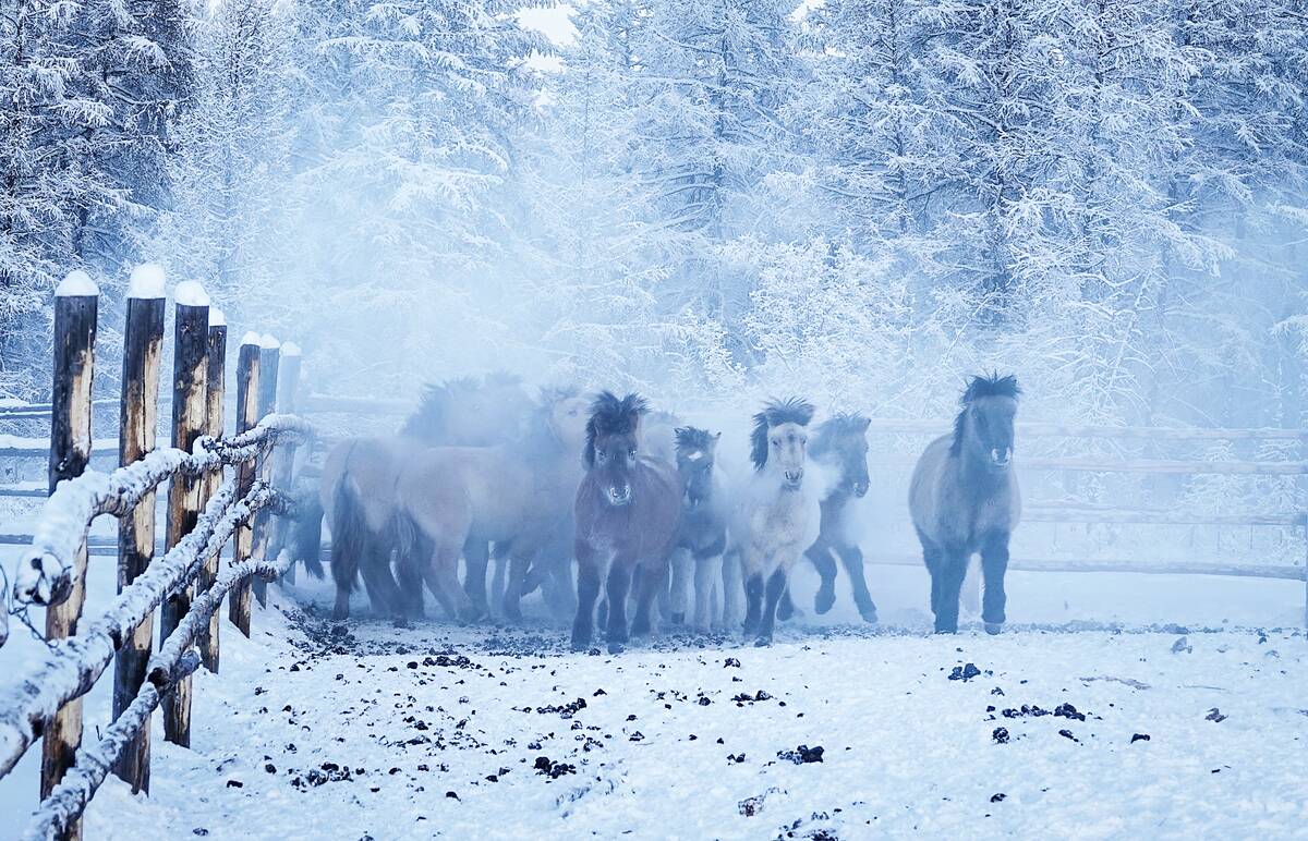 Extreme cold weather in Russia's Oymyakon