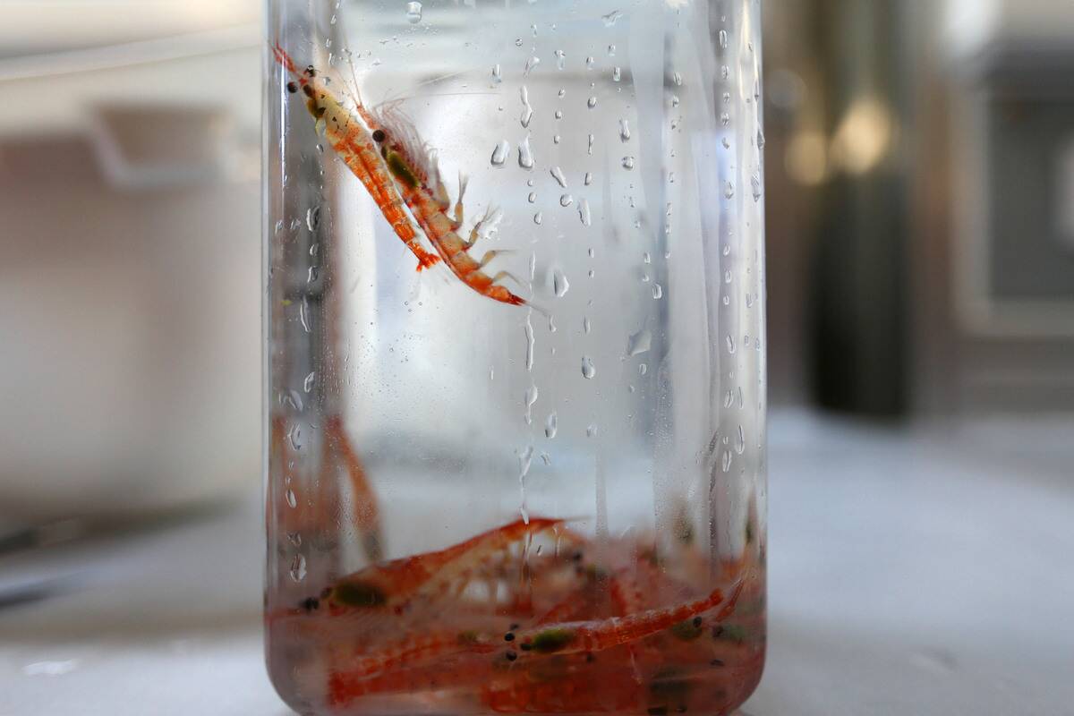 (EyesonSci)CHINA-XUELONG 2-ANTARCTIC EXPEDITION