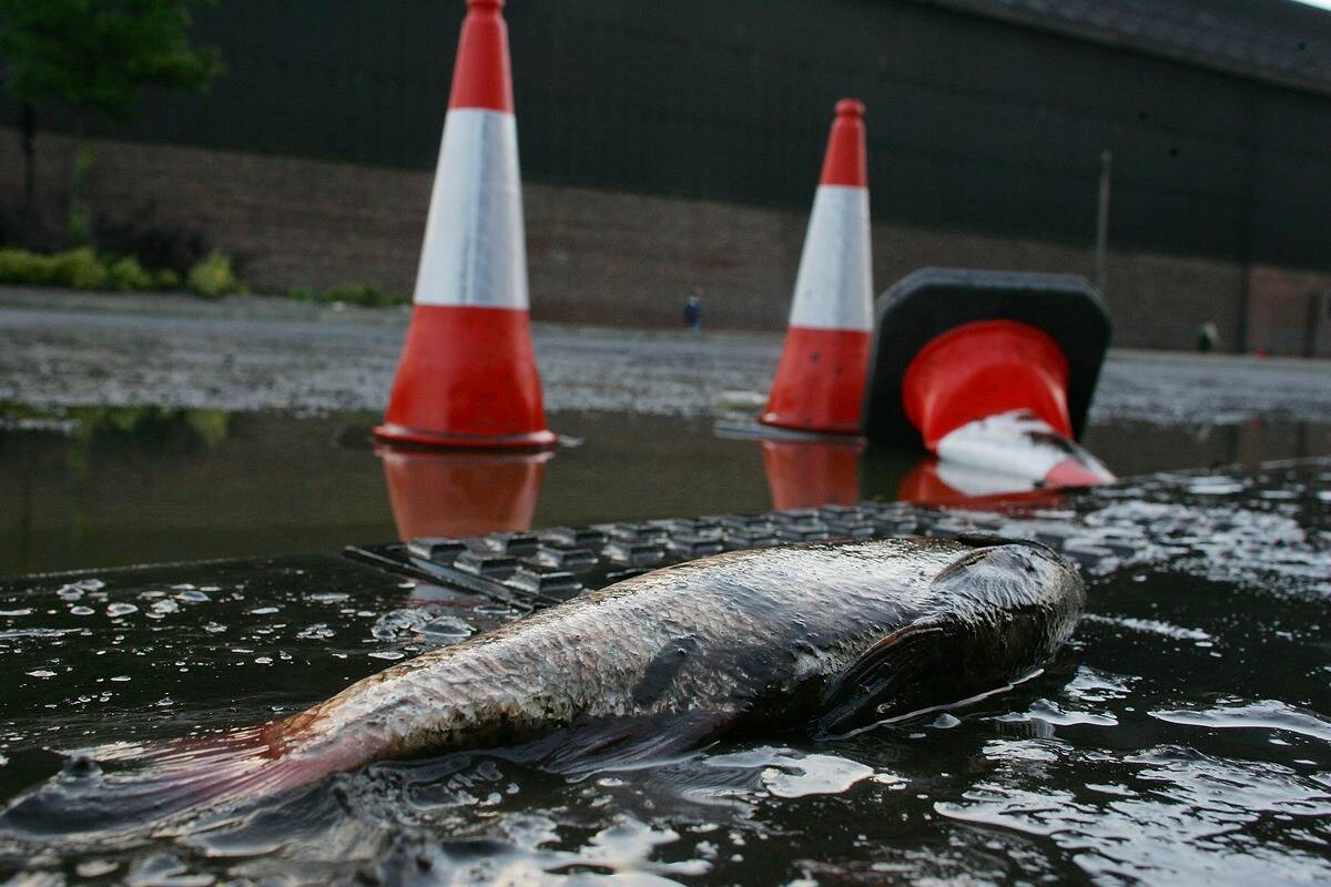 Flood Alerts Issued As Heavy Rain Hits UK
