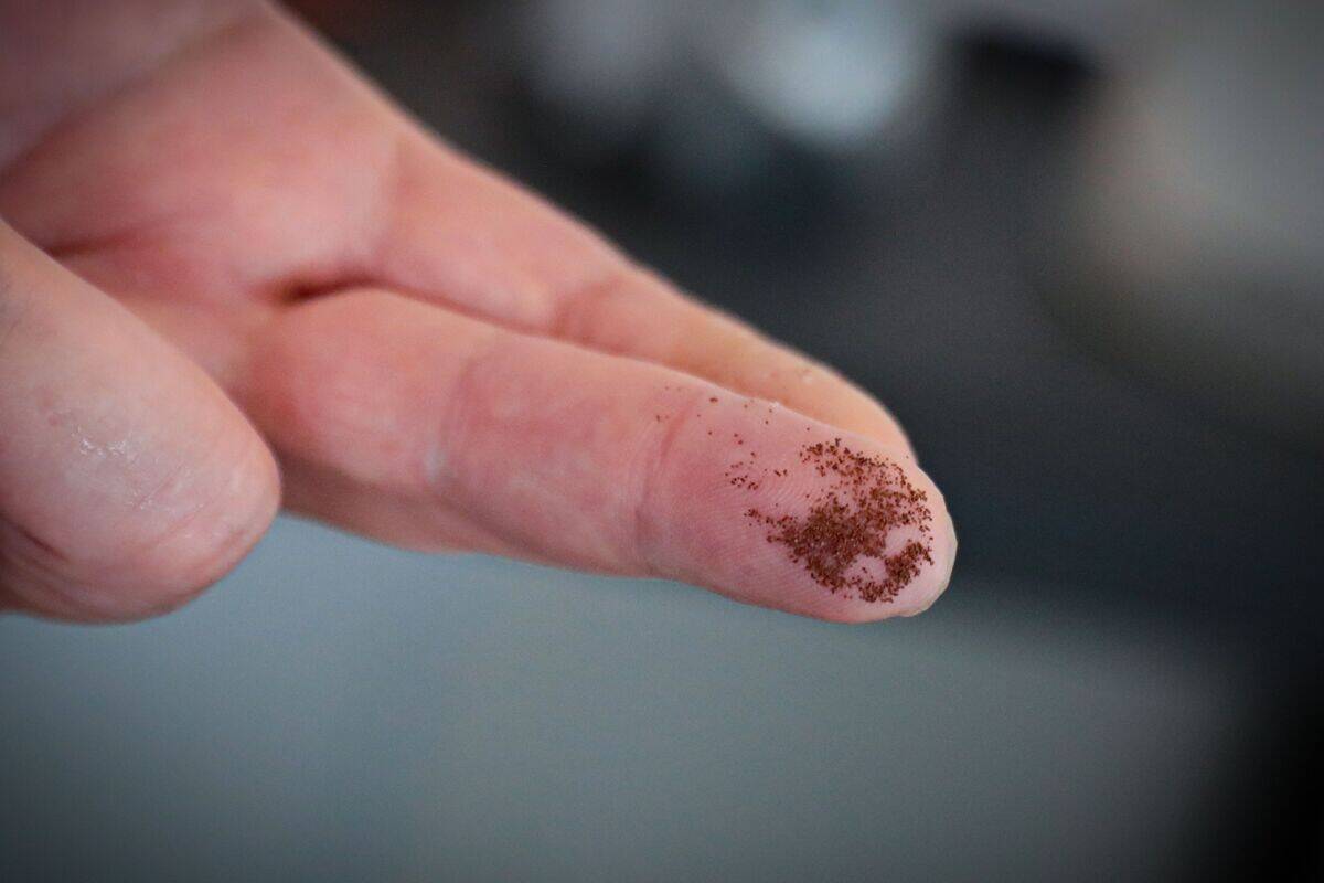 FRANCE-AGRICULTURE-FISH-FARMING-GASTRONOMY-SEAFOOD