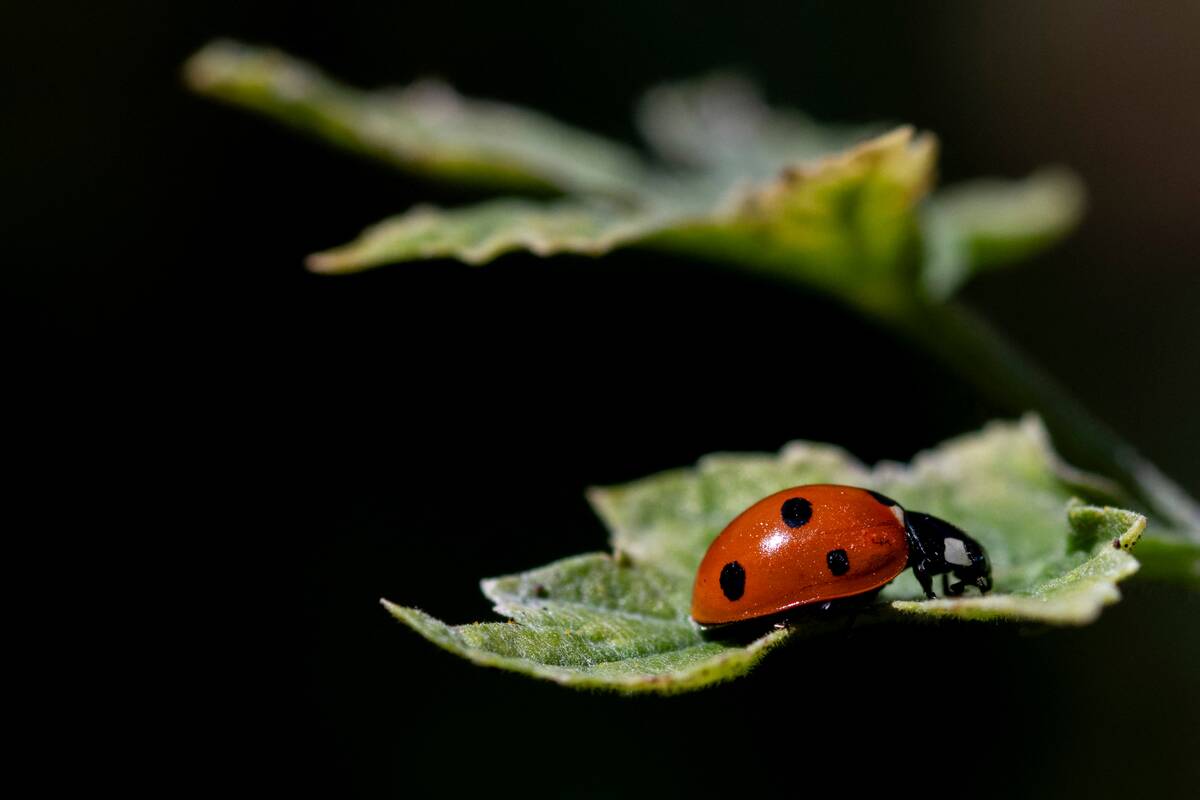 FRANCE-NATURE-ANIMAL