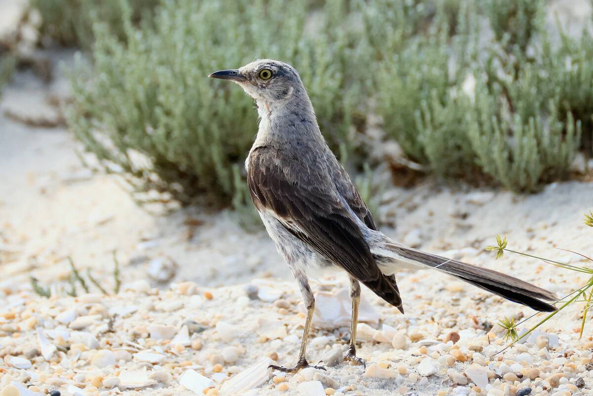 General Views In New York