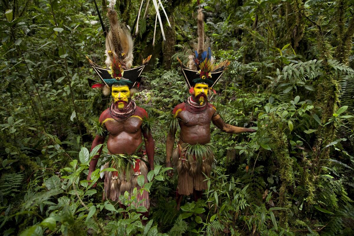 Huli Wigmen In The Forest