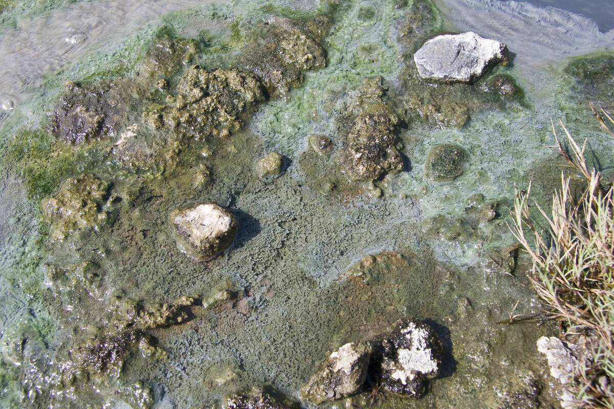 Hverageroi, Iceland, July 2011