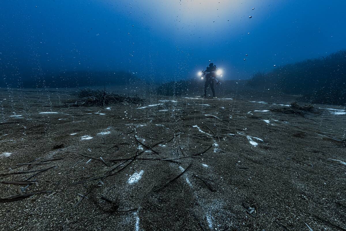 Hydrothermal activity and primitive bacteria