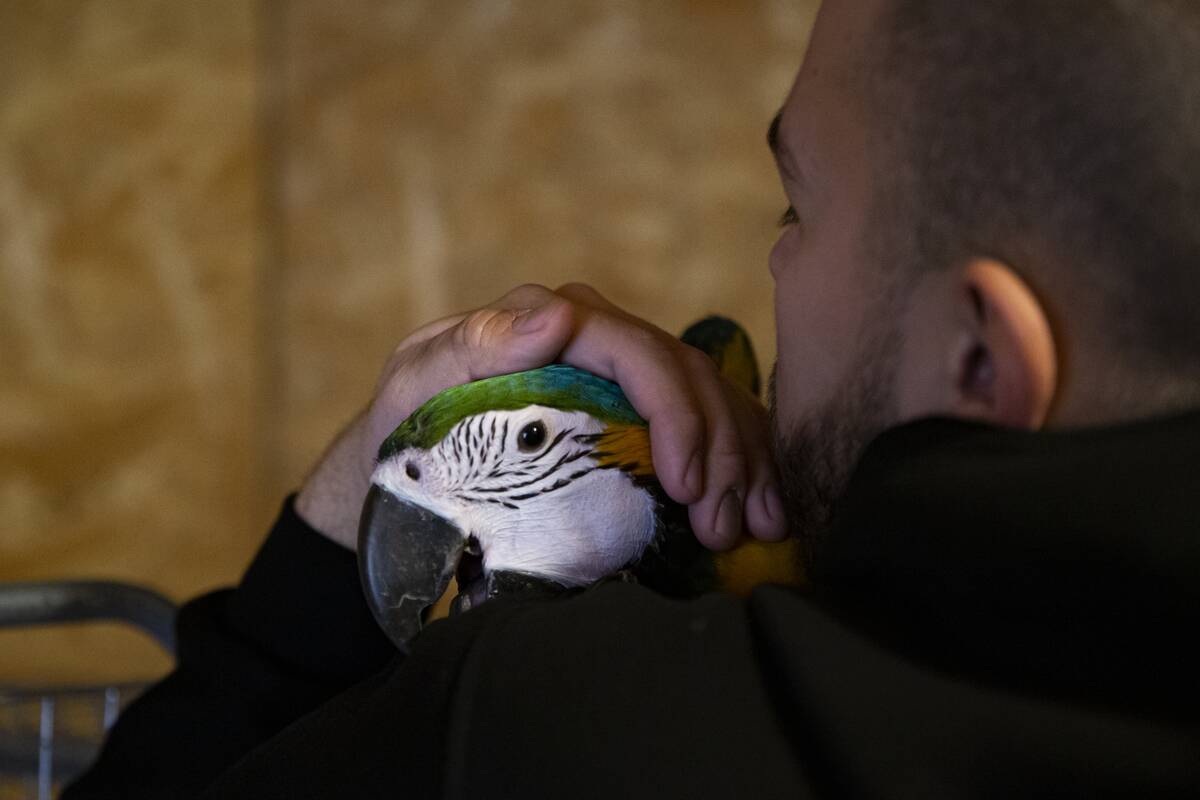 Inside Bambi Zoo: A young animal lover's sanctuary in Sarajevo