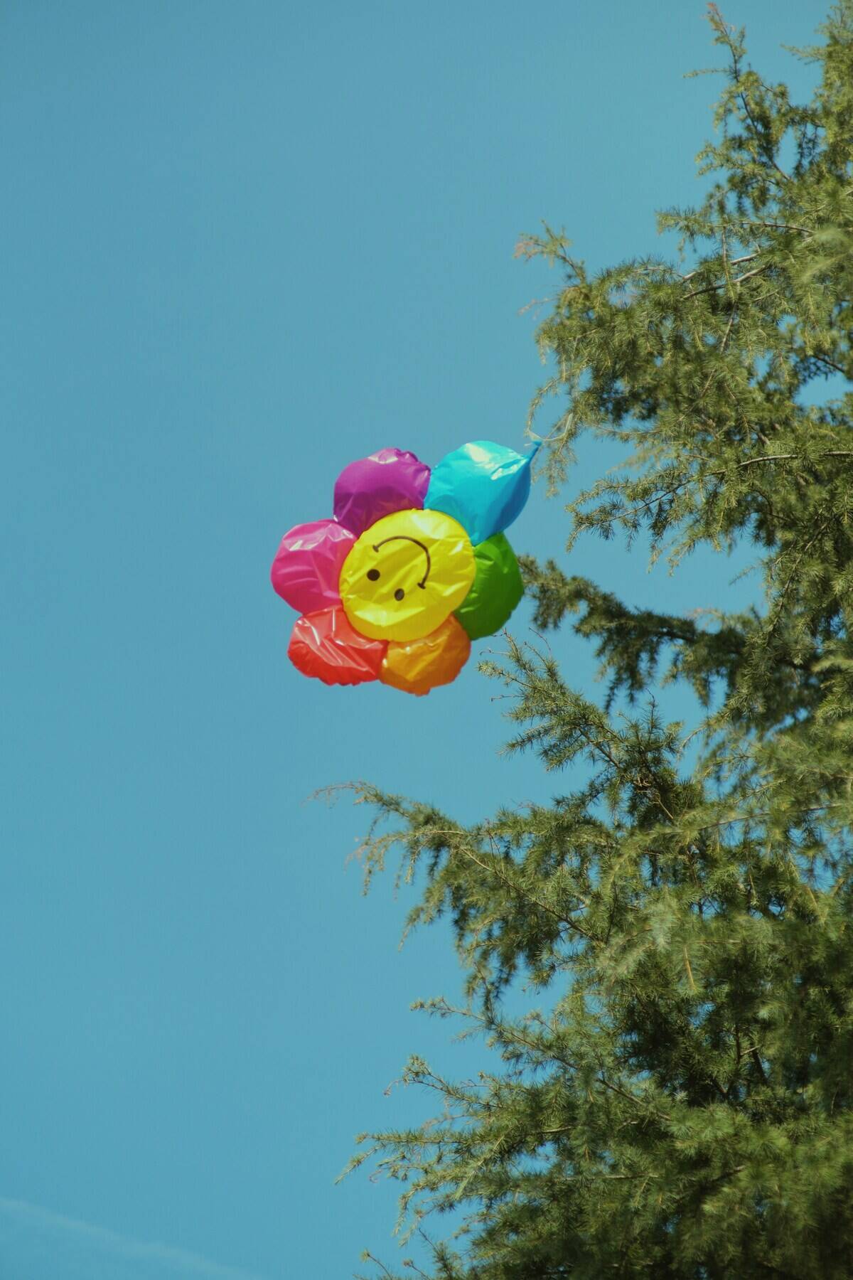 jimmy-chang-Ofwj7MLkDEo-unsplash