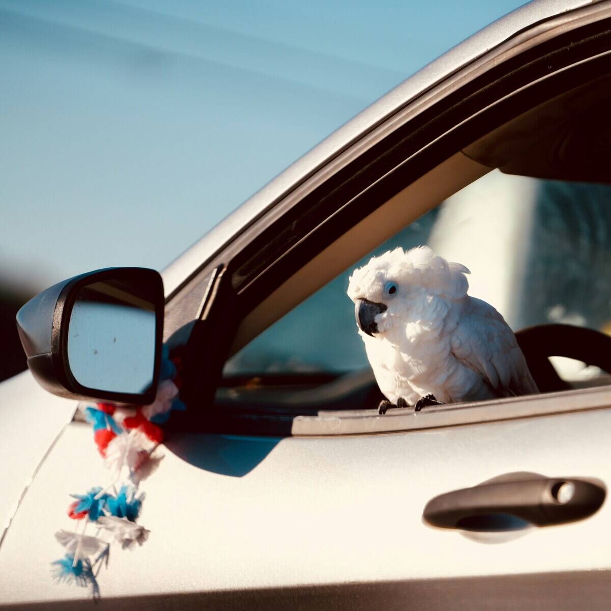 joey-zhou-wQ16hSjAhVQ-unsplash