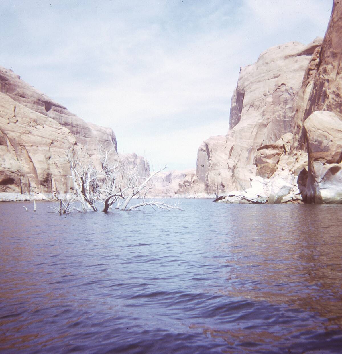 Lake With Cliffs, A Dead Tree