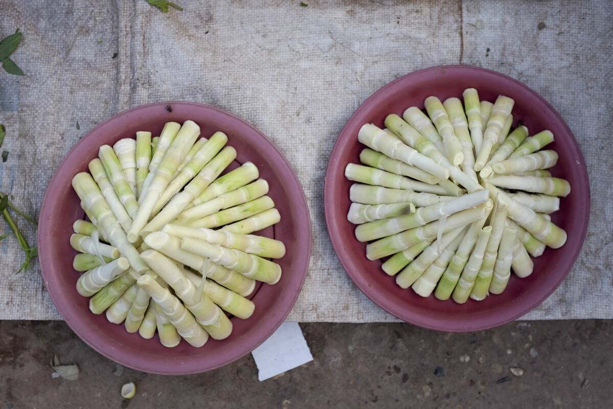 Lao PDR - Vientiane - Don Makai evening fresh food market