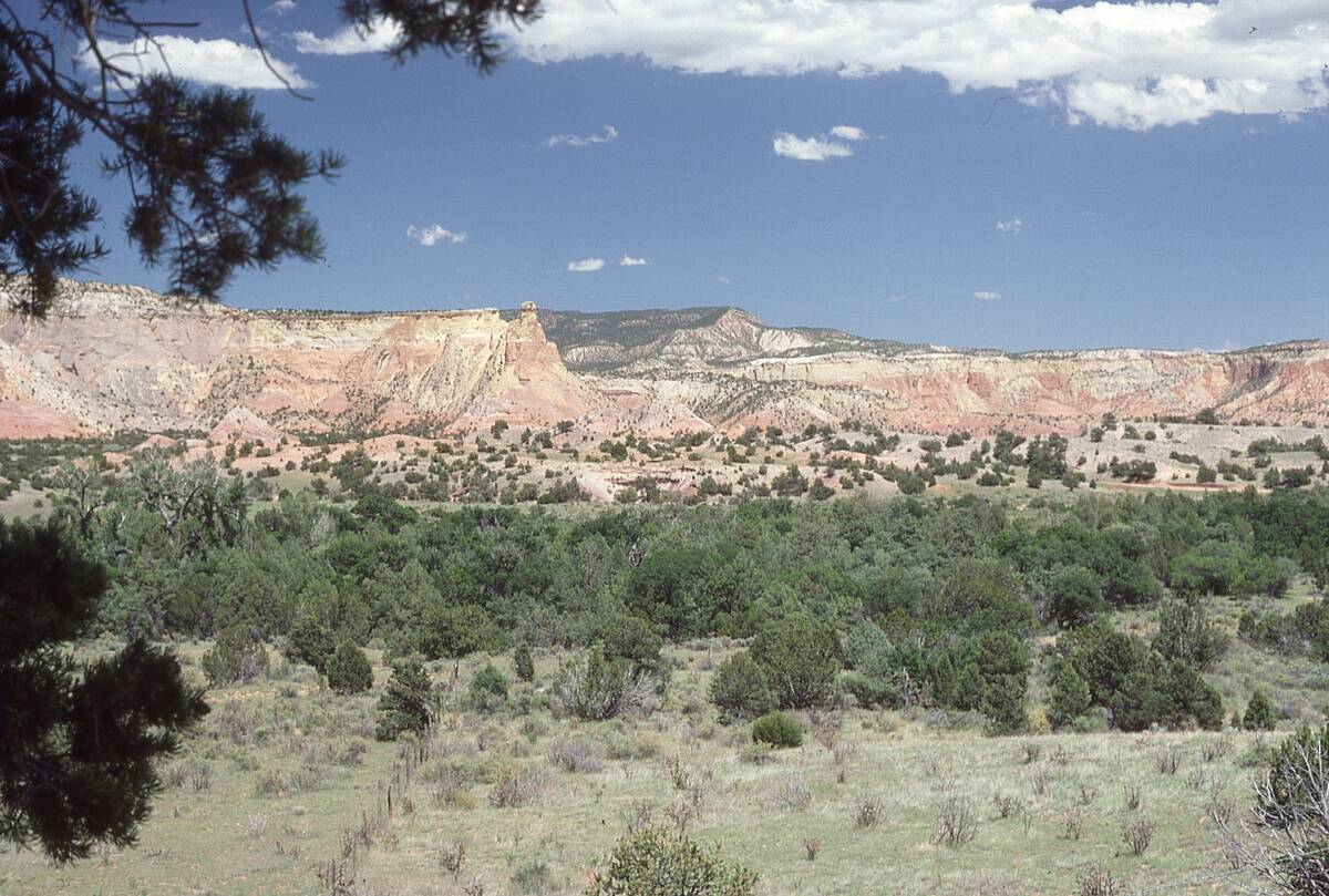 Mesa Mountain Range With Red