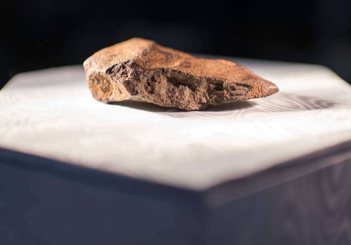 Minerals' Days in Munich